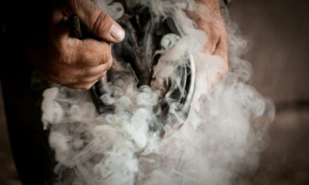 Le Syndrome du High/Low : quand l&rsquo;équilibre du cheval devient un défi