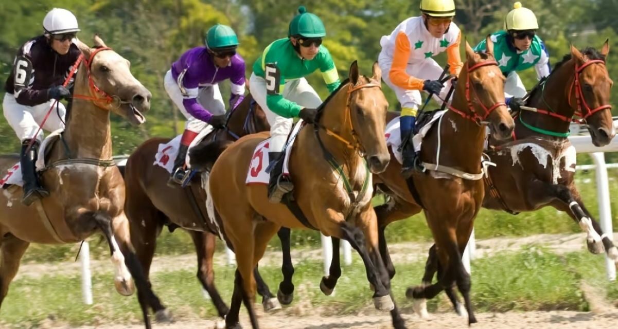 Comprendre et traiter le coup de sang chez le cheval