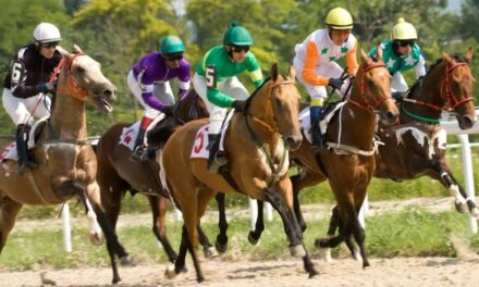 Comprendre et traiter le coup de sang chez le cheval
