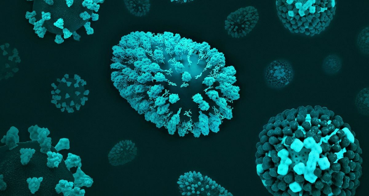 Cryptosporidiose : Plongée au cœur d&rsquo;une infection émergente