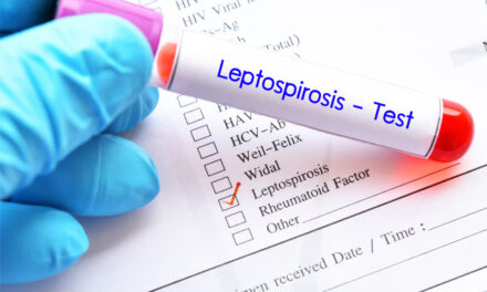 Leptospirose : Une Zoonose négligée aux implications graves