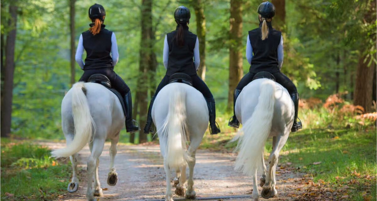 Reconnaître la maladie de Lyme chez le cheval
