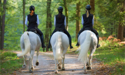 Reconnaître la maladie de Lyme chez le cheval