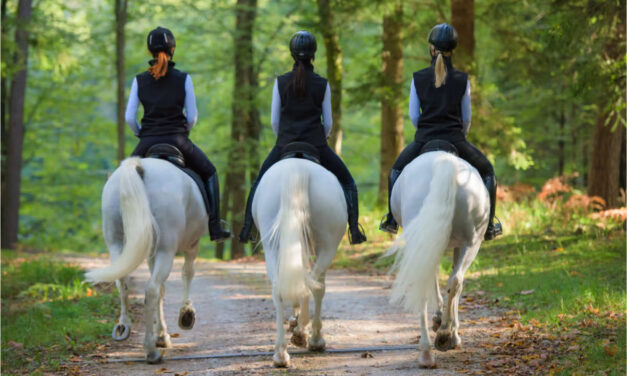 Reconnaître la maladie de Lyme chez le cheval