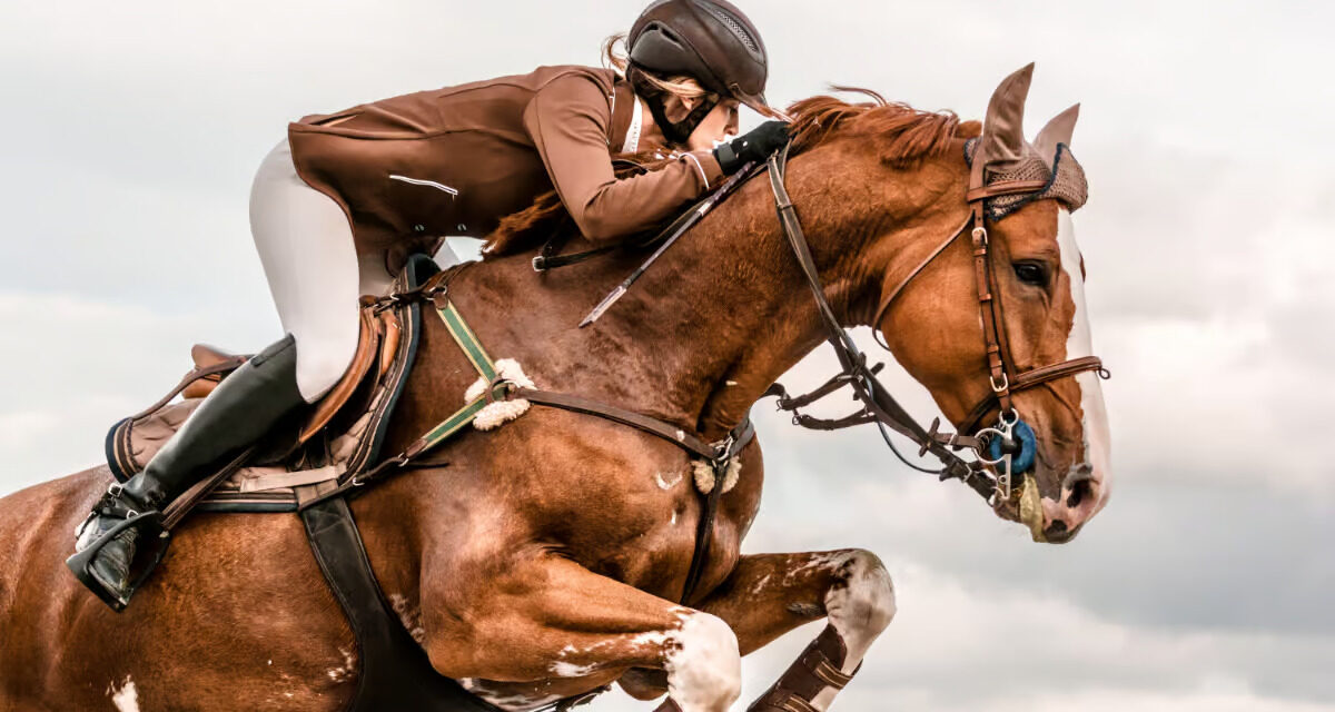 Préparation aux championnats de France d&rsquo;équitation