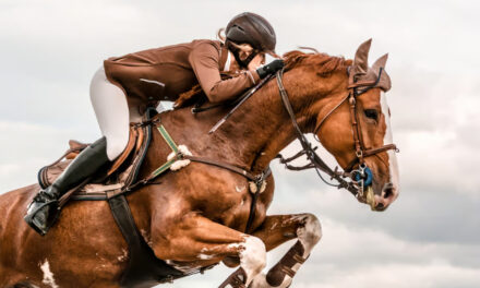 Préparation aux championnats de France d&rsquo;équitation