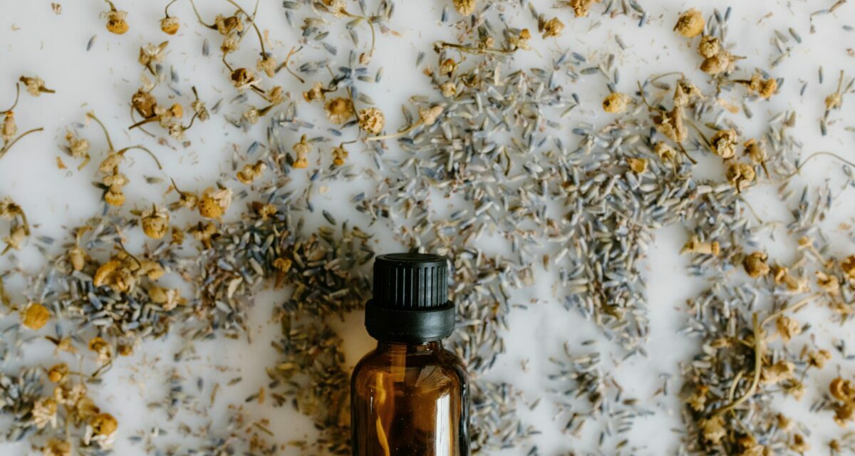 Pourquoi les huiles essentielles sont dangereuses pour le chat ?
