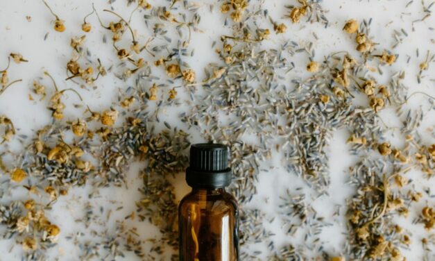 Pourquoi les huiles essentielles sont dangereuses pour le chat ?
