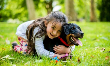 Comment soigner rapidement un hot spot canin et éviter l&rsquo;infection ?
